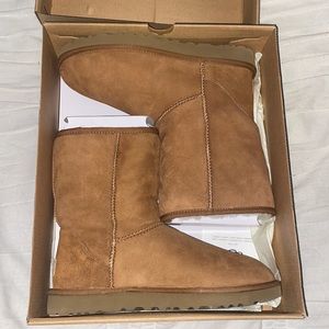 Womens Uggs - Classic Short ll - Never worn